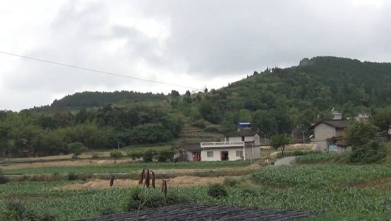 clip_image004.jpg