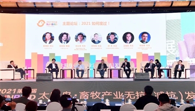 2021如何度过?铁骑力士集团运营总裁邓先锋在“太阳鸟”