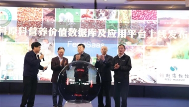 在这件事上,我们终于摆脱了对国外的长期依赖!