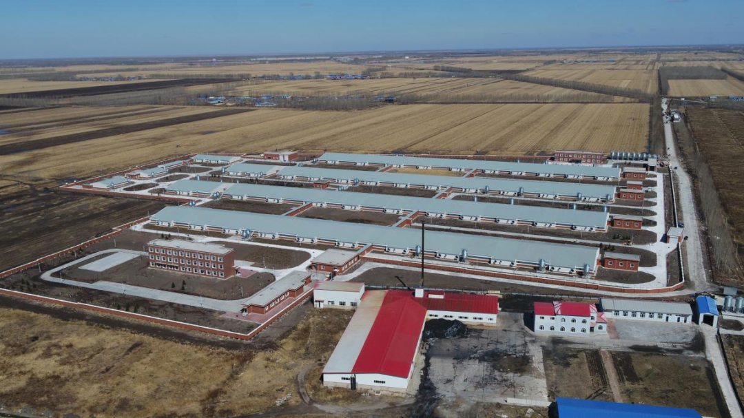 微信图片_20210528171543.png