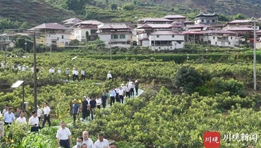 这次现场会中,有哪些经验值得学习推广? 农业农村厅厅
