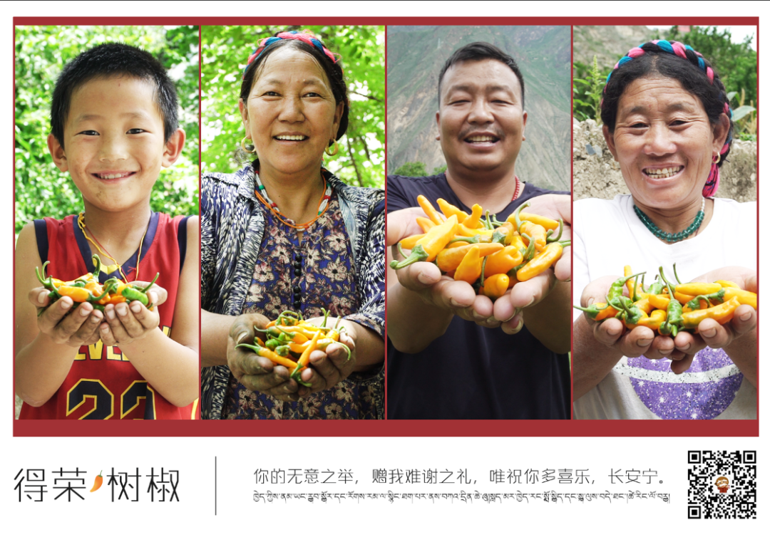 图片13.png